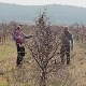 Село из којег млади не одлазе