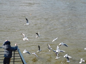 Данас више сунца и топлије, температура до 15 степени 