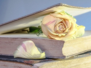 	У друштву песника 