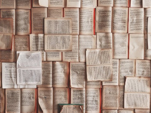 	У друштву песника 