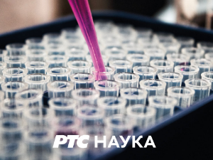 Тврђаве на Дунаву: Београдска тврђава