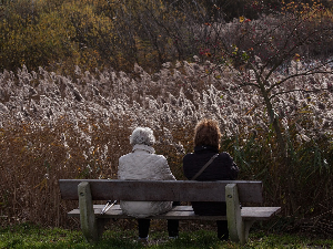 1001 Траг - Нема више моје мајке