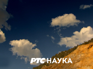 Нулта тачка: Породични распоред