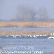 Потамишје - наше ново заштићено природно добро