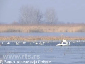 Потамишје - наше ново заштићено природно добро