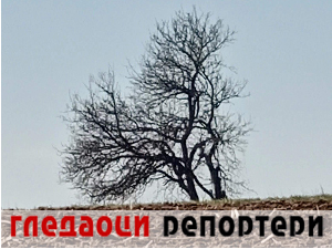 Гледаоци репортери (16. новембар 2023.)