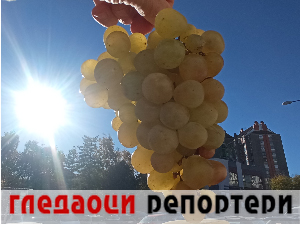 Гледаоци репортери (17. новембар 2023.)