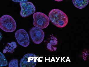 ЕДУ глобал	185