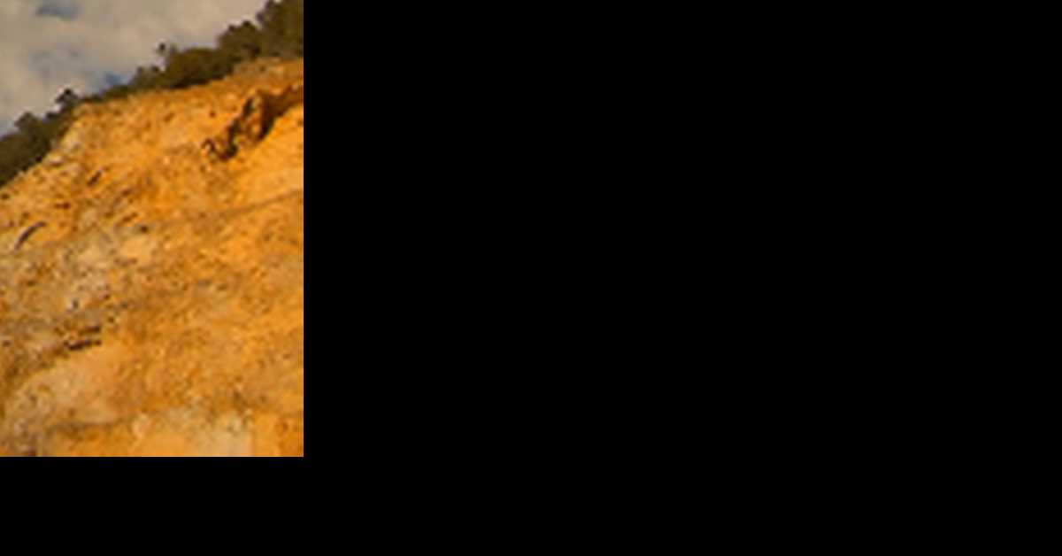 Београдско благо: Легат Црњански