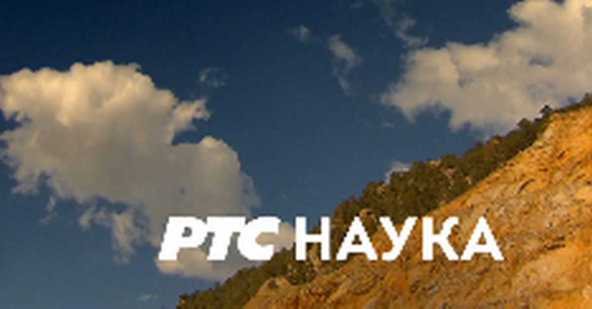 Животиње у царству метафора: Сова