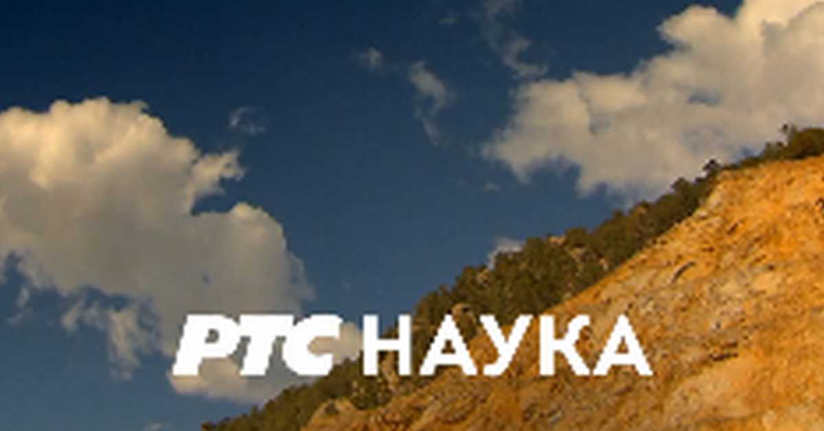 Одгонетање тела: Естетика и привлачност