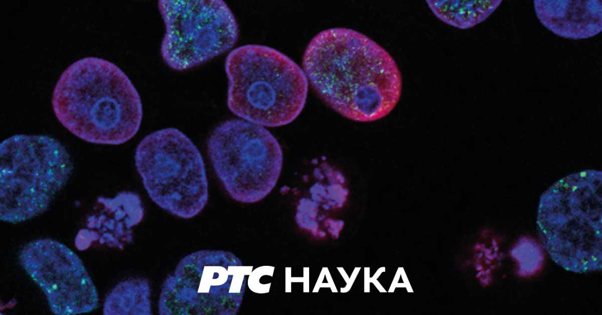 Технологије и ми:	Енергетика у транзицији