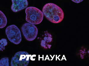 Великани:	Димитрије Туцовић