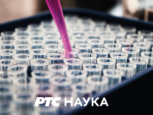 	Зелени часовник:	Богатство Аде, 2.део