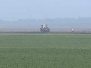 Како пшеницу у Банату заштити од глодара