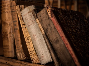 Предраг Крстић: Има ли мисао завичај? (1)