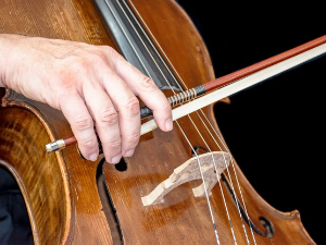 Свирај свирче - Виолончело