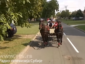 1001 Траг - Хај, хај, баш нас брига