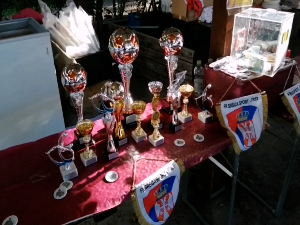 Трст: Фудбалски турнир хуманитарног карактера