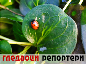 Гледаоци репортери (13. децембар 2023.)