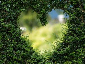 1001 Траг - Ко је срце у те дирн'о