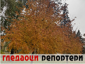 Гледаоци репортери 20. децембар 2023.