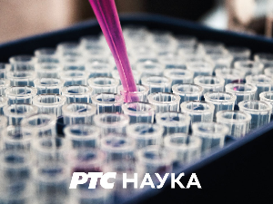 Исток – запад – повратак: Наука и живот – тамо и овде