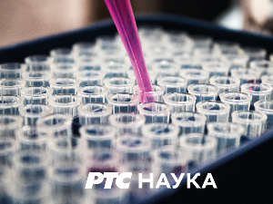 Ловац на знање: Боље спречити него лечити