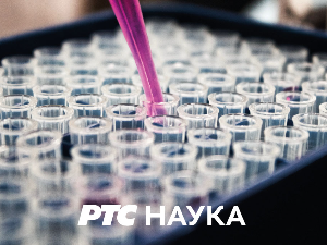 Одгонетање тела: Религија