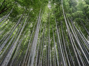 Имагинарни пејзажи