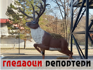 Гледаоци репортери 26. децембар 2023.