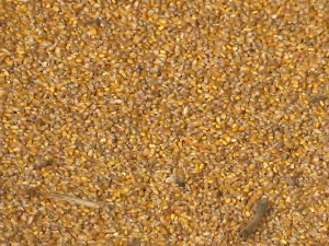 Из којих извора ће пољопривредници финансирати радове следеће године?