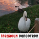 Гледаоци репортери 29. децембар 2023.