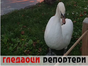 Гледаоци репортери 29. децембар 2023.