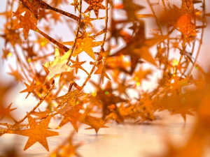 Новогодишњи програм   