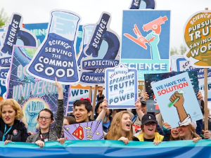 Кларк Милер: Знање и демократија (4)