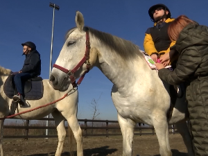 Како терапија уз помоћ коња помаже у лечењу и дружењу