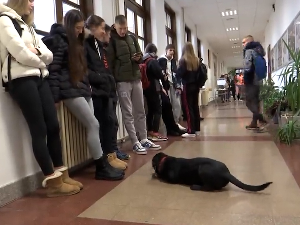  Како су ђаци из Горњег Милановца помогли напуштеном псу