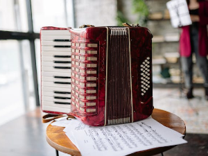 Век хармонике