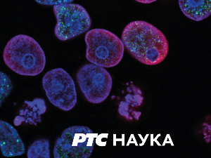 Наша историјска авангарда: Једна кретенска матинеја