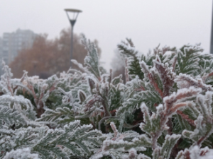 Хладно јутро са мразем, током дана ветровито – температура до 6 степени