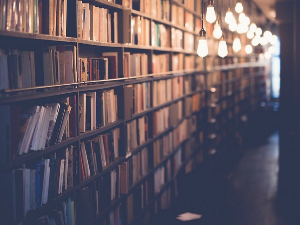 Михаел Антоловић: Спајање неспојивог – предузетнички универзитет и друштвене науке (1)