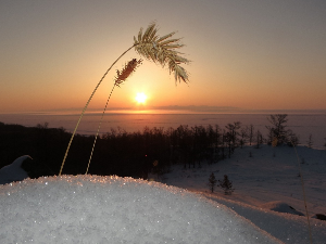 Ритам раног јутра