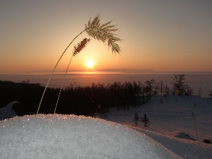 Ритам раног јутра