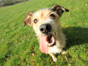Ове „пре и после“ фотографије нису оно што мислите