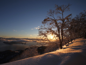 Ритам раног јутра	