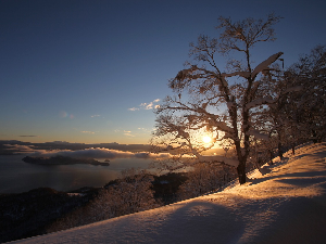 Ритам раног јутра
