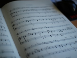 Антологија српске музике – Душан Радић