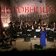 Даровница - Гроцка
