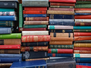 Пјер-Етјен Вандам: Жреб и свест о неправдама